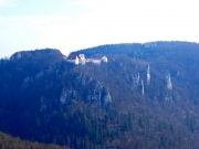 P1020504