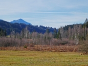 P1020096