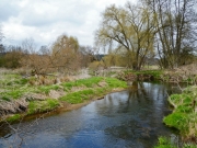 P1020746