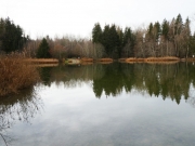 P1070387