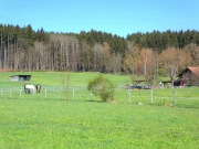P1050475