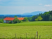 P1050990