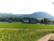 Gailingen06