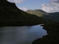 IMGP2595