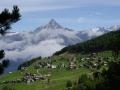 IMGP3950