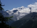 IMGP3967
