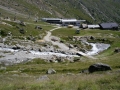 IMGP3978