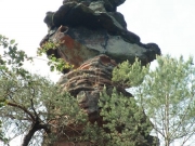 CIMG5117