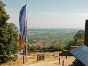 CIMG5548
