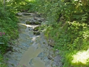 P1060246