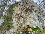 IMG20240308104221