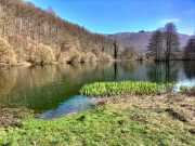 IMG20240308134544