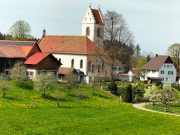 IMG20240413130210