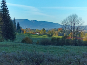IMG20241021094654