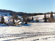 IMG20241229105111