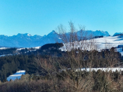 IMG20241229124913