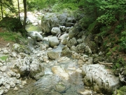 CIMG0575