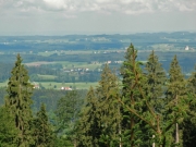 CIMG3088