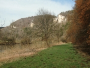 CIMG4491