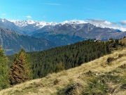 IMG20240918103157