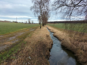 IMG20260113102622
