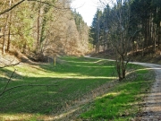 CIMG4574