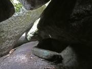 P1030387