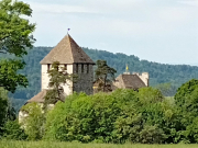 IMG20260504111932