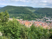 IMG20230721100616