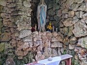 IMG20241112120555