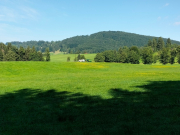 IMG20250819104114