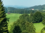 IMG20250819105002