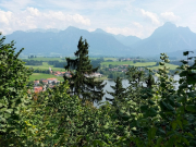 IMG20250819140811
