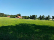 IMG20260624094426