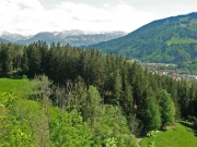 CIMG4862