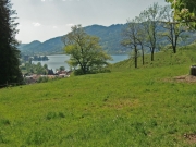 CIMG4864