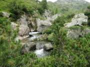 CIMG3339