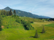 IMG20260630101020