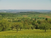 CIMG4802
