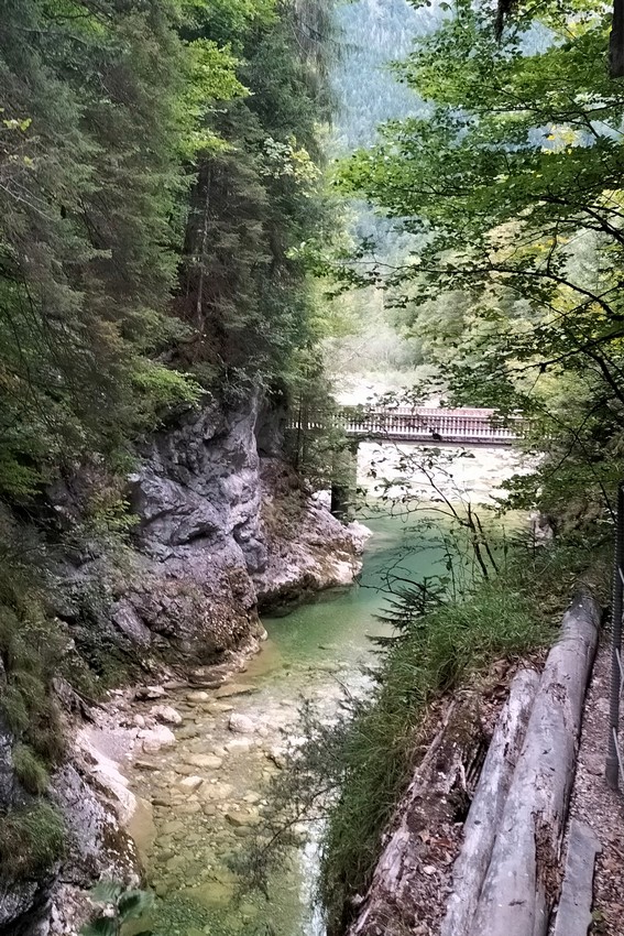 IMG20260921101213