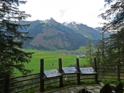 P1010532