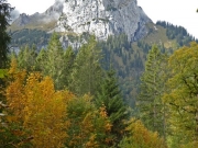 P1010681