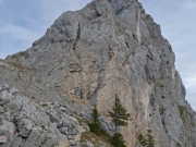 P1010696
