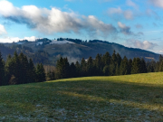 IMG20240213100212