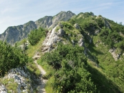 CIMG3231