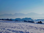 P1020282