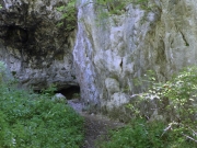 P1060504