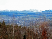 P1020474