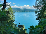 IMG20260509123229