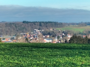 Maselheim08
